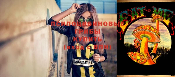 2c-b Белоозёрский