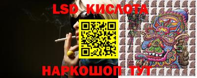spice Владимир