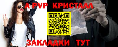 spice Владимир