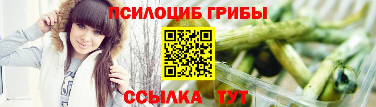 Псилоцибиновые грибы GOLDEN TEACHER Воркута